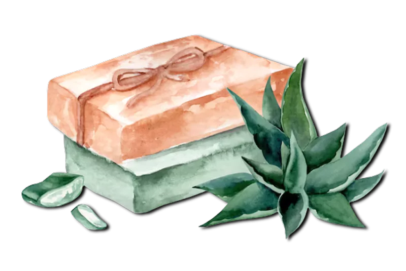 Organic Soap with Aloe Vera Leaves